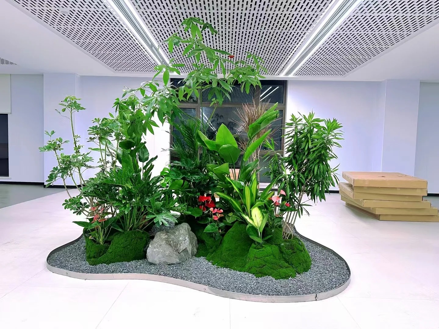 了解宁波江北盆景租赁价格，看这篇！