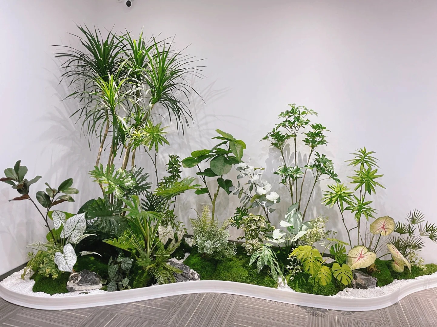 了解宁波江北盆景租赁价格，看这篇！